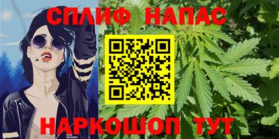 гашик Волжск
