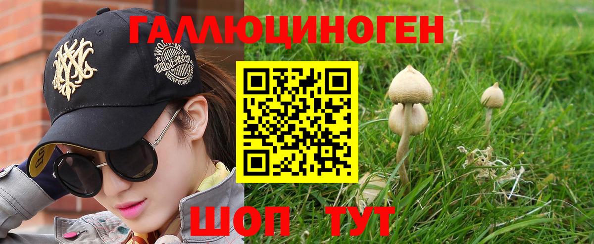 Псилоцибиновые грибы ЛСД Новочебоксарск